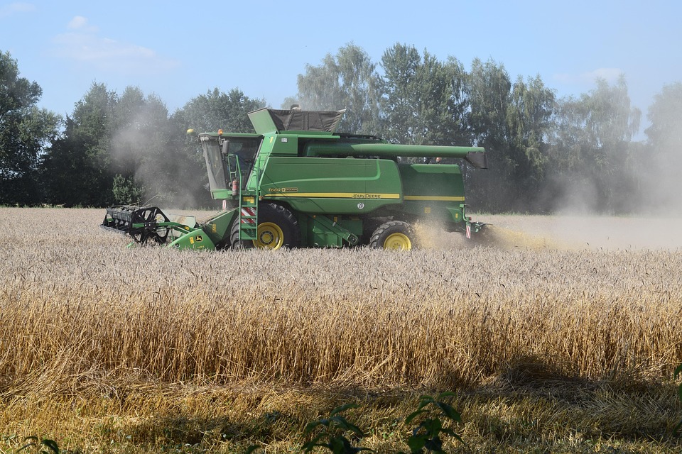 Mechanized Harvesting